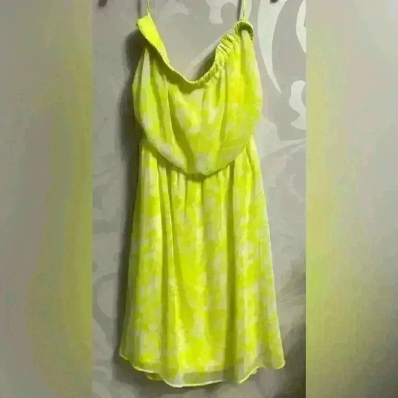 Express Dress  - Picture 3 of 3